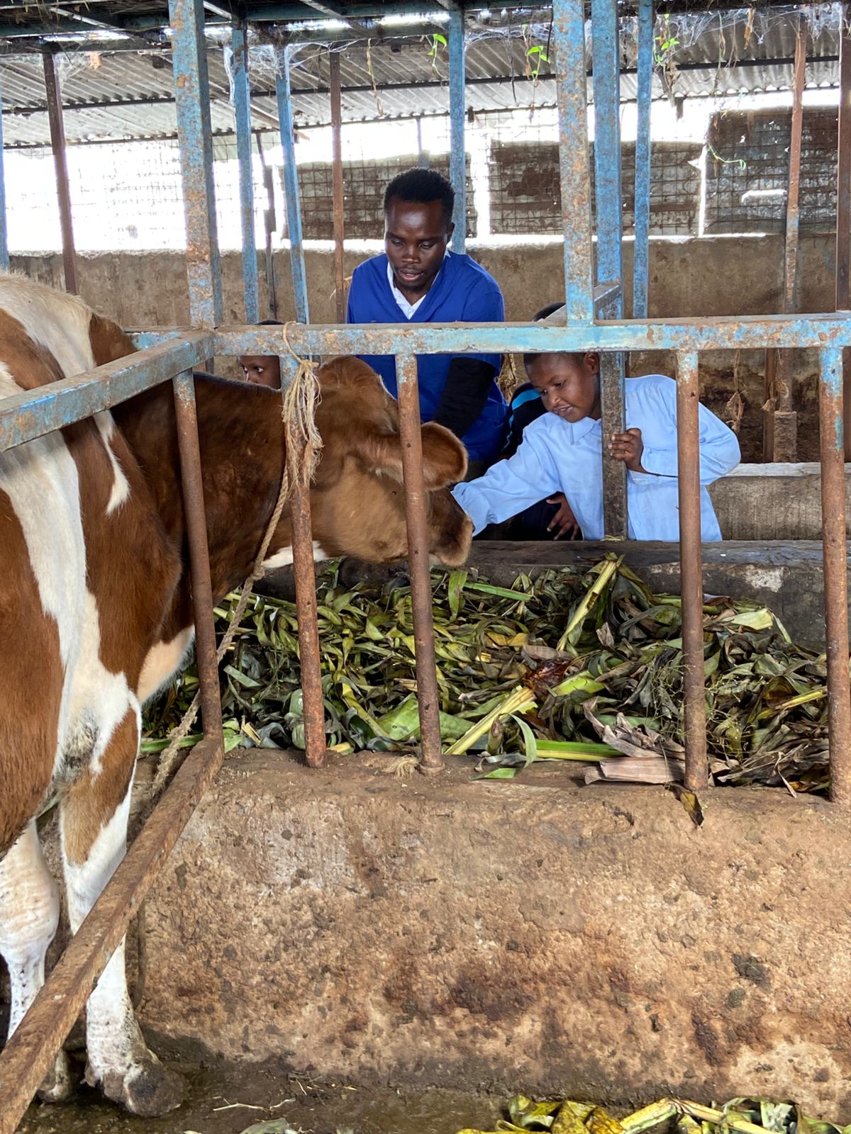 Beneficiary visiting the CHDF dairy project