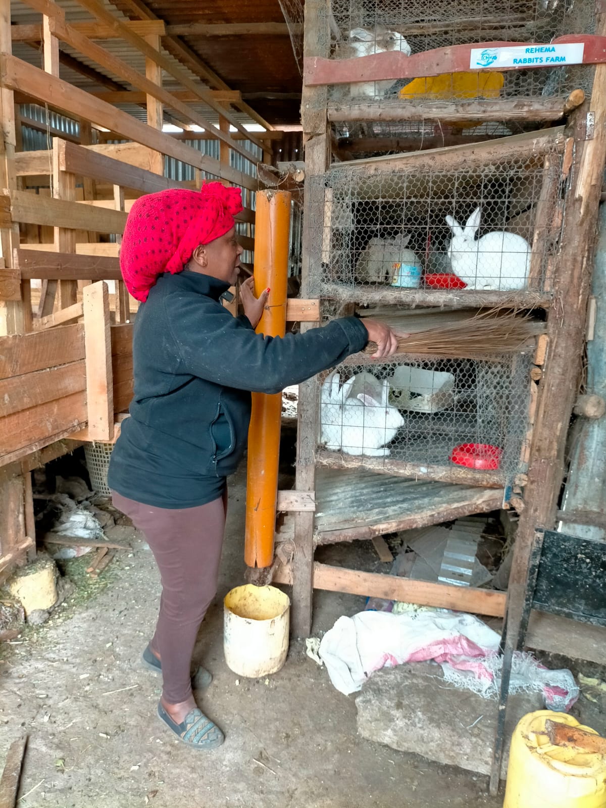Rehema Rabbits Farm at CHDF